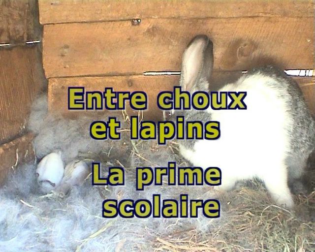 Luc Dussolier